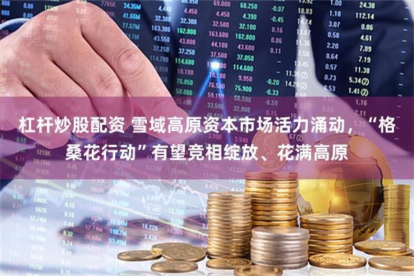 杠杆炒股配资 雪域高原资本市场活力涌动，“格桑花行动”有望竞相绽放、花满高原