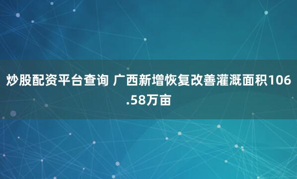 炒股配资平台查询 广西新增恢复改善灌溉面积106.58万亩